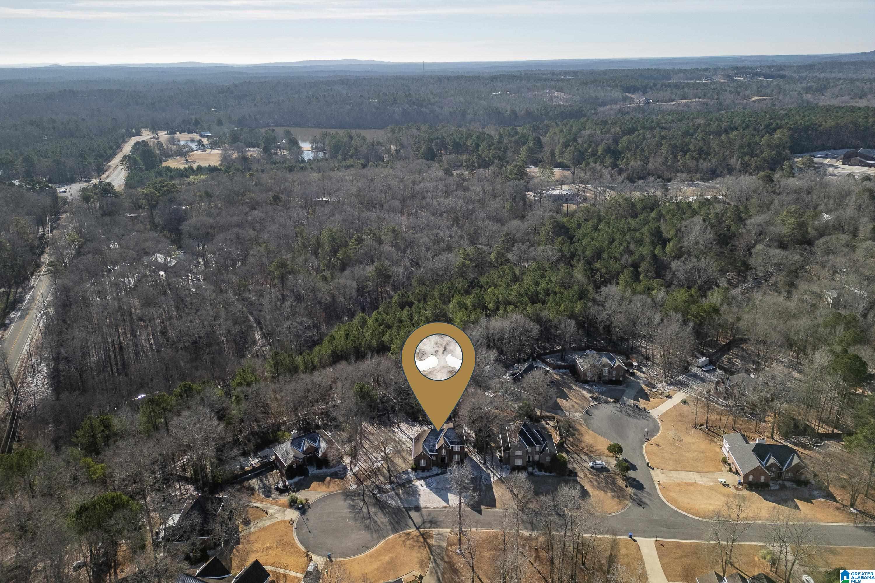 208 Branch Drive Chelsea, AL 35043 - Photo 41 of 46