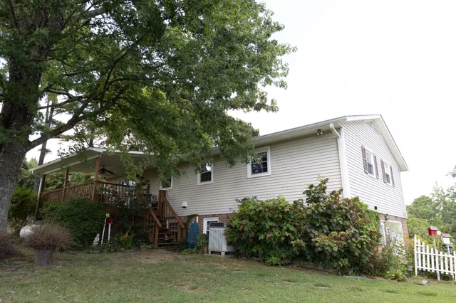 a backyard of a house with plants and tree