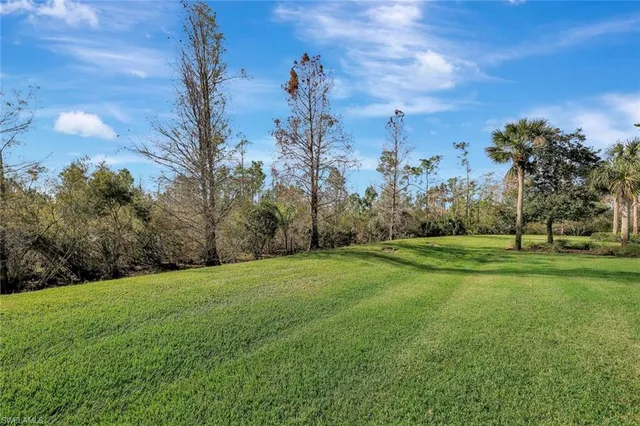 a view of a park with a tree in the background