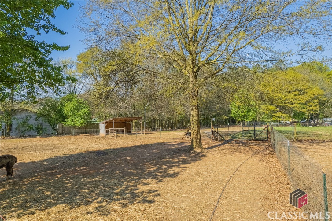 534 Moon Road Royston, GA 30662 - Photo 29 of 62
