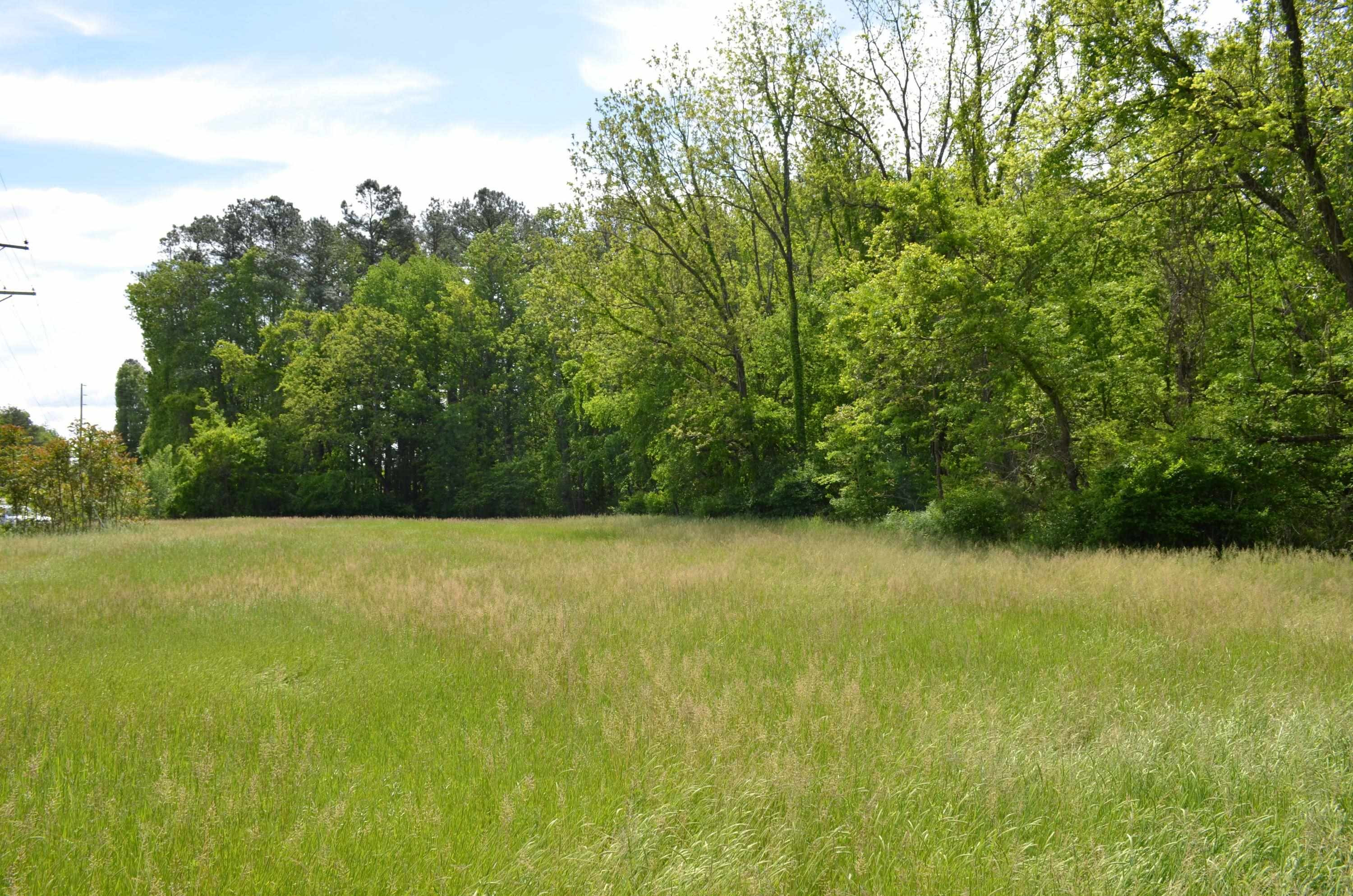 1670 Cedar Grove Church Road Roxboro, NC 27574 - Photo 8 of 11 Photo 8