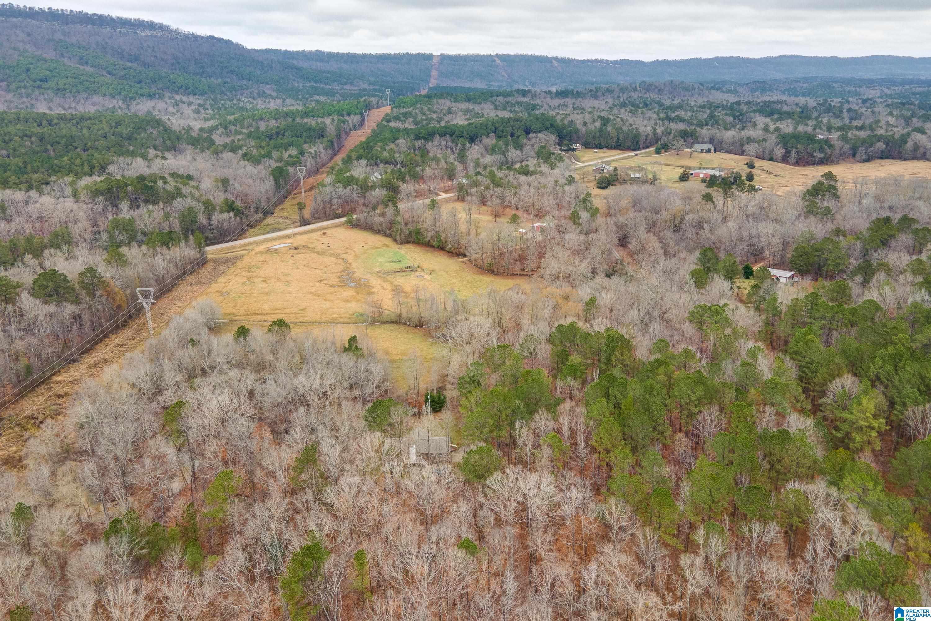 384 Moss Rock Trail Sterrett, AL 35147 - Photo 47 of 47