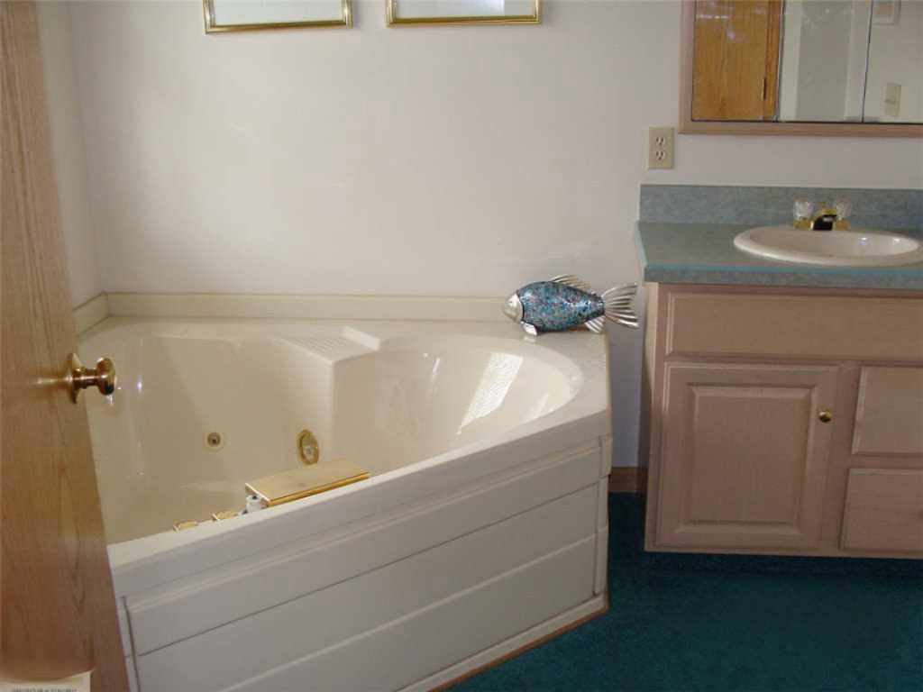 8283 Hall Road Bellevue, MI 49021 - Photo 10 of 16 8283 Hall master bath