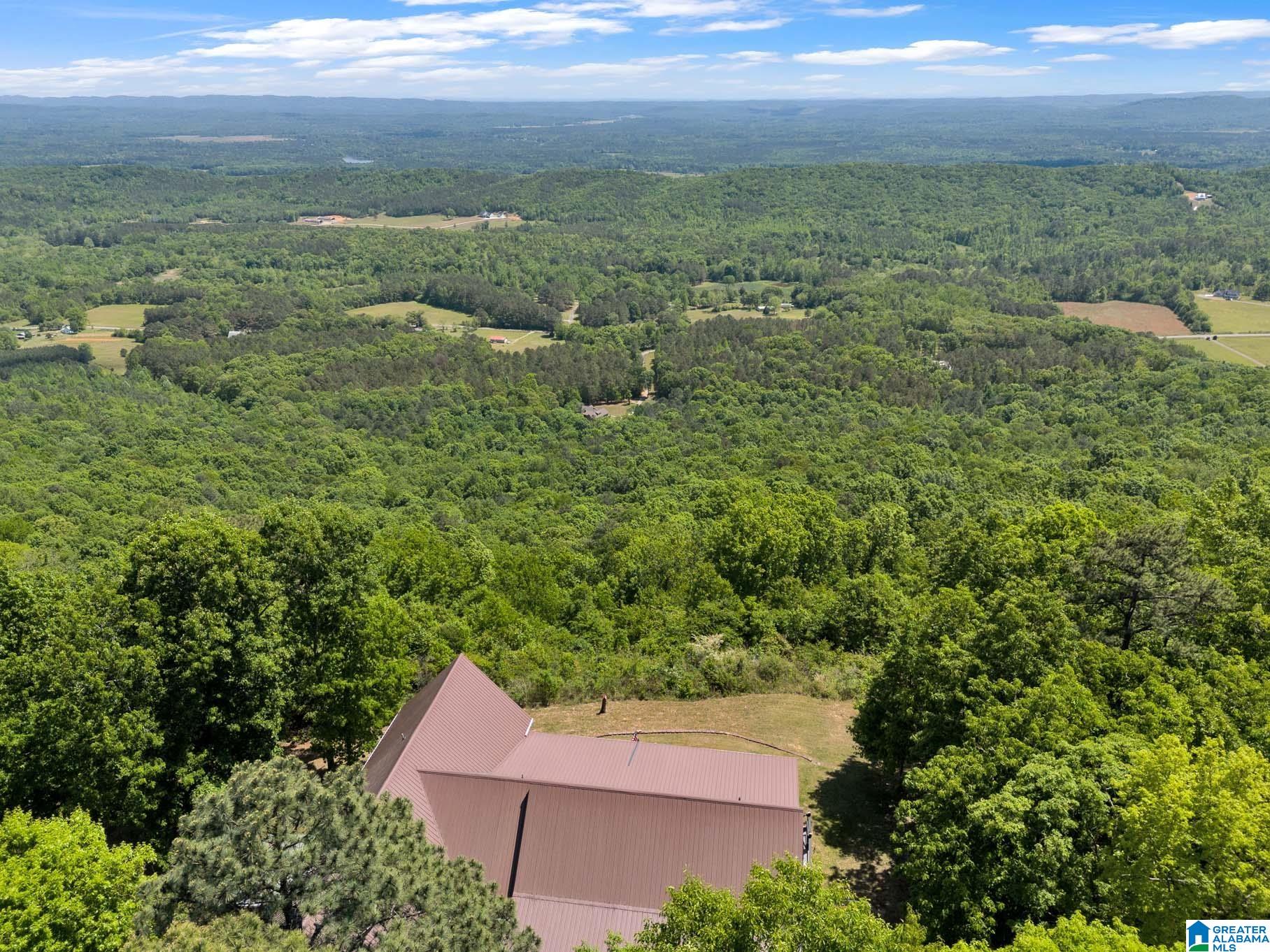 7076 Co Highway 24 Springville, AL 35146 - Photo 59 of 60