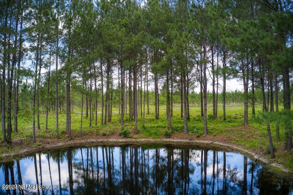 15518 Co Road Hilliard, FL 32046 - Photo 3 of 13 Hill Farms