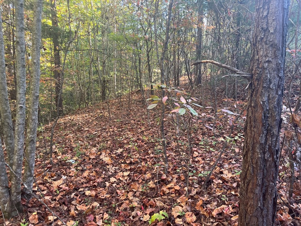 Lot 23 Trailblazer Way Murphy, NC 28906 - Photo 2 of 9