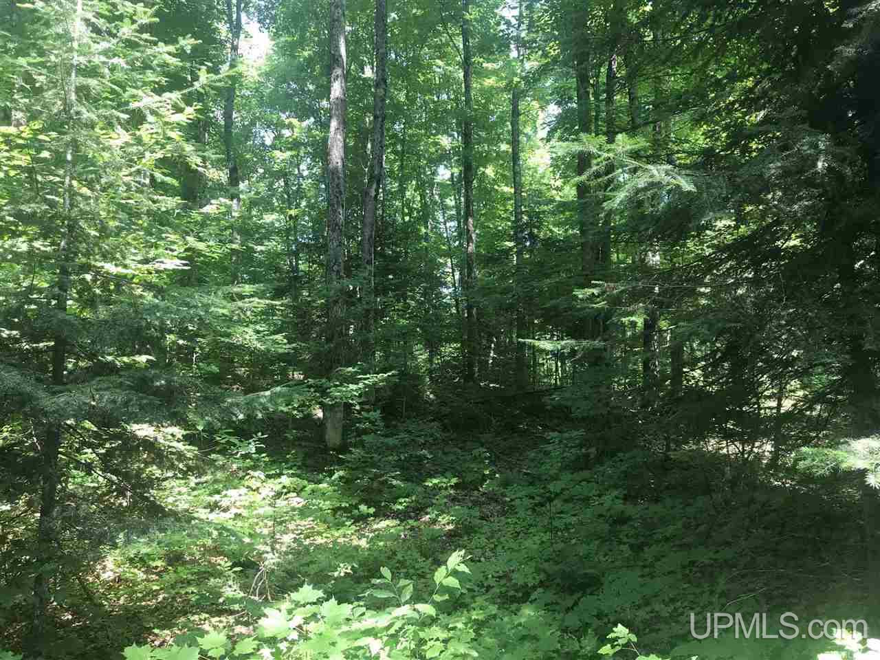Tbd Sq Road, Unit 1 Cornell, MI 49818 - Photo 4 of 6