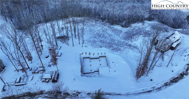 a view of a fireplace with a tree