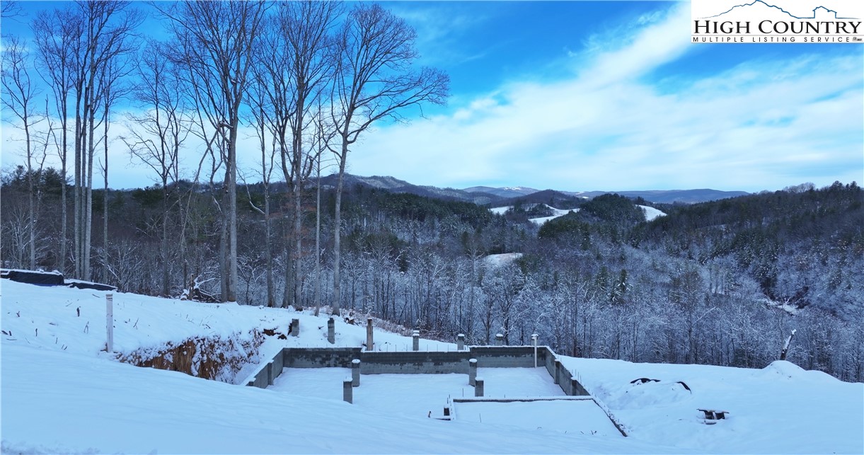 403 Autumn Leaf Way Crumpler, NC 28617 - Photo 11 of 45 a view of a backyard