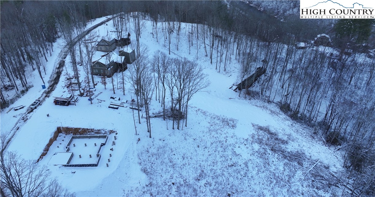 403 Autumn Leaf Way Crumpler, NC 28617 - Photo 15 of 45 a view of a wooden wall with a tree