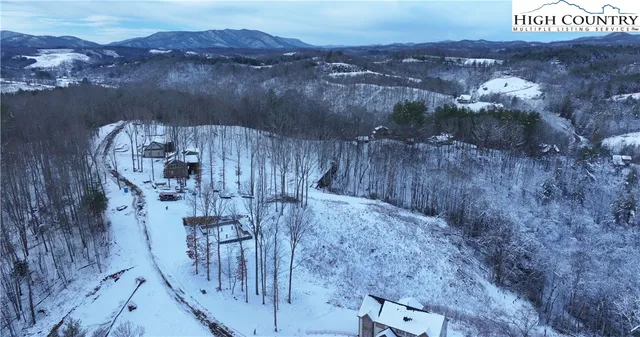 a view of a lot of trees and bushes