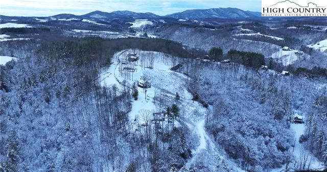 a view of a dry yard