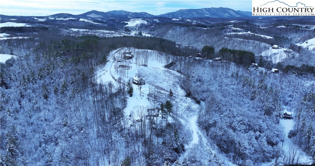 403 Autumn Leaf Way Crumpler, NC 28617 - Photo 27 of 45 a view of a lot of trees and bushes