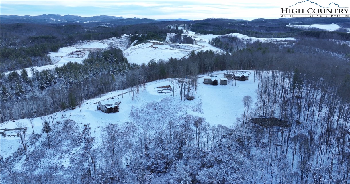 403 Autumn Leaf Way Crumpler, NC 28617 - Photo 31 of 45 a view of a backyard