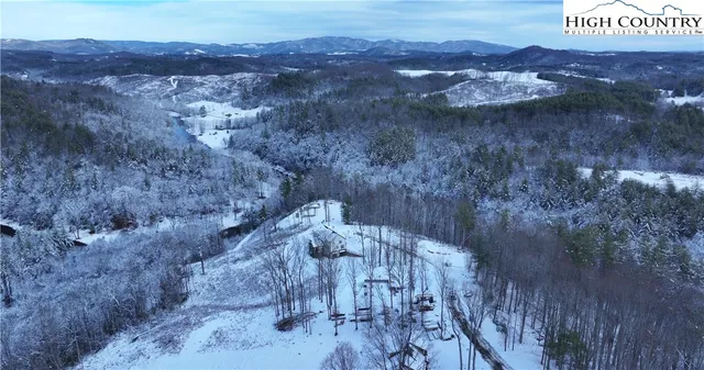 a view of a forest with a mountain in the back