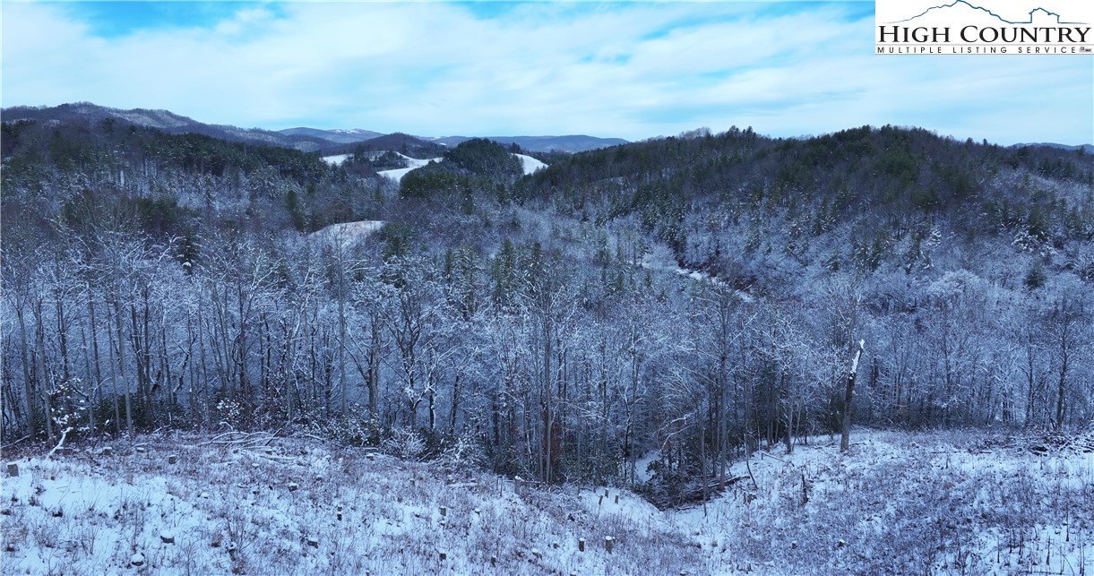 403 Autumn Leaf Way Crumpler, NC 28617 - Photo 8 of 45 a view of a dry yard