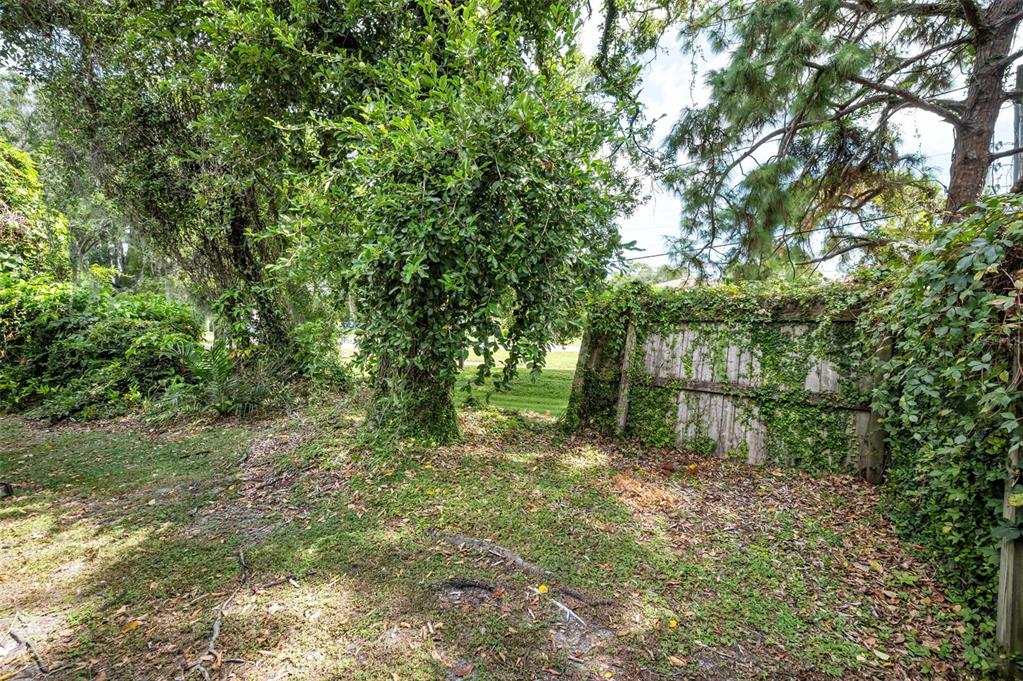 1890 Wolford Road, Unit 3 Clearwater, FL 33760 - Photo 39 of 47 a large yard with lots of green space and house in the back