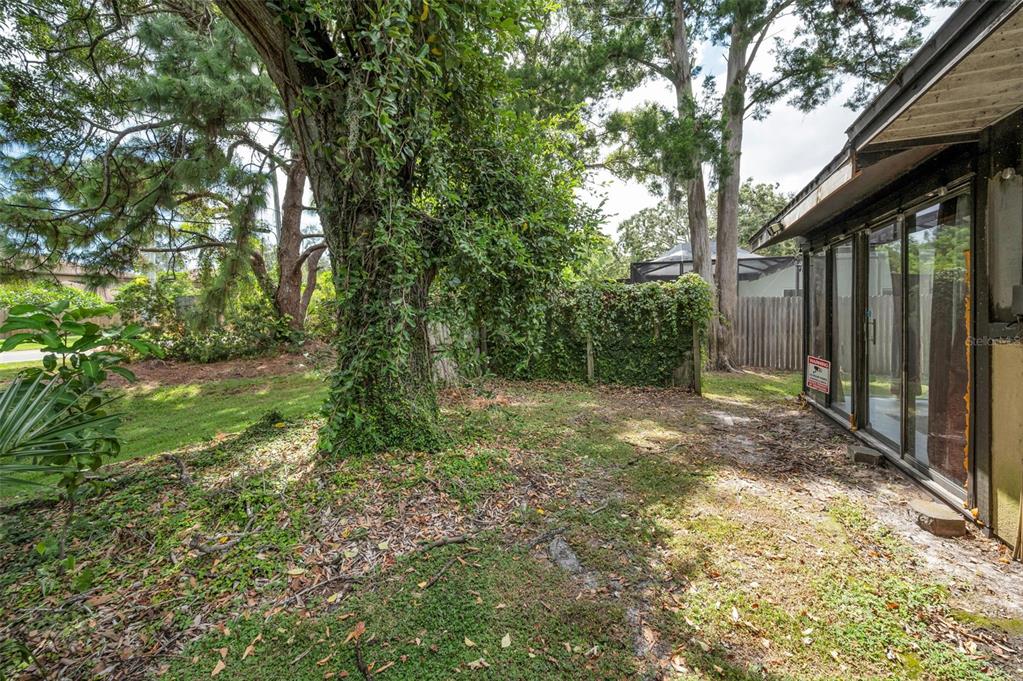 1890 Wolford Road, Unit 3 Clearwater, FL 33760 - Photo 42 of 47 a view of a yard with plants and large trees