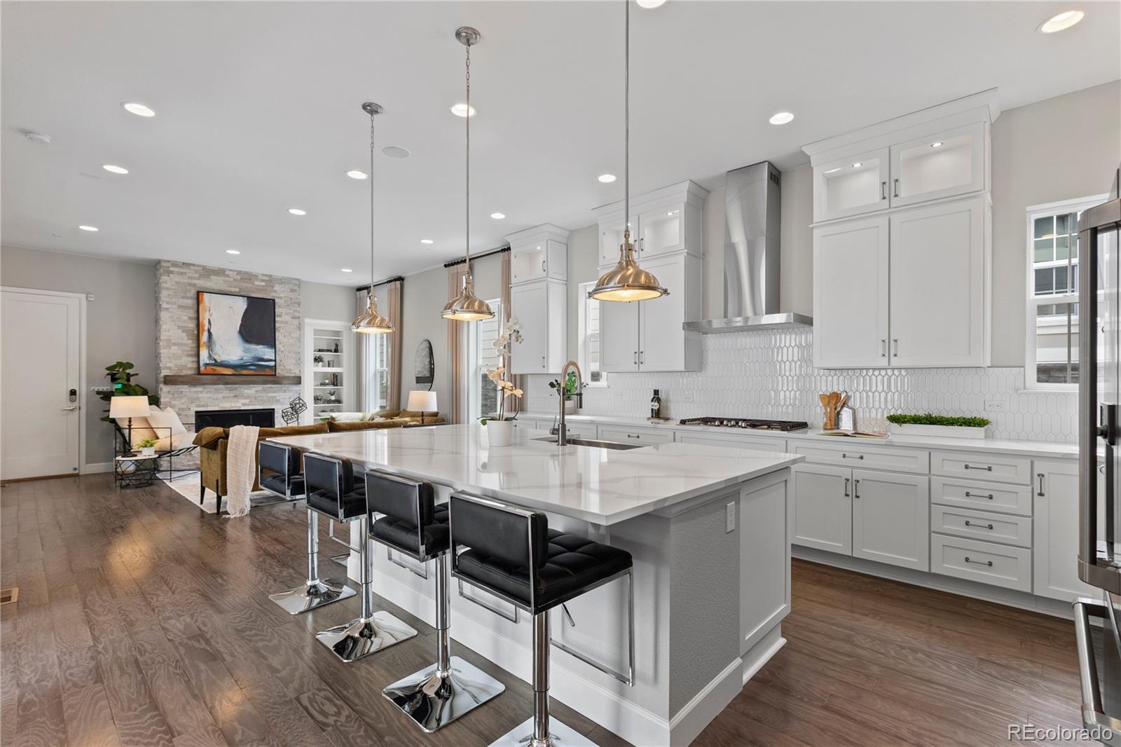 929 Brocade Drive Highlands Ranch, CO 80126 - Photo 5 of 26