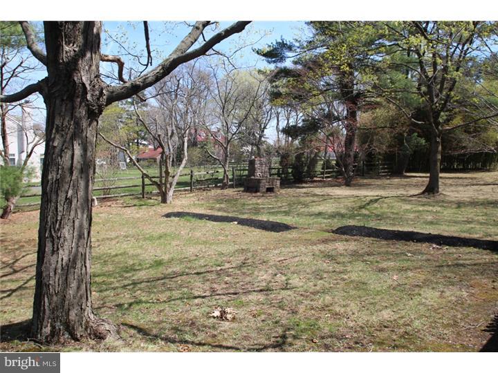 2173 Almshouse Road Jamison, PA 18929 - Photo 24 of 25 Back Yard