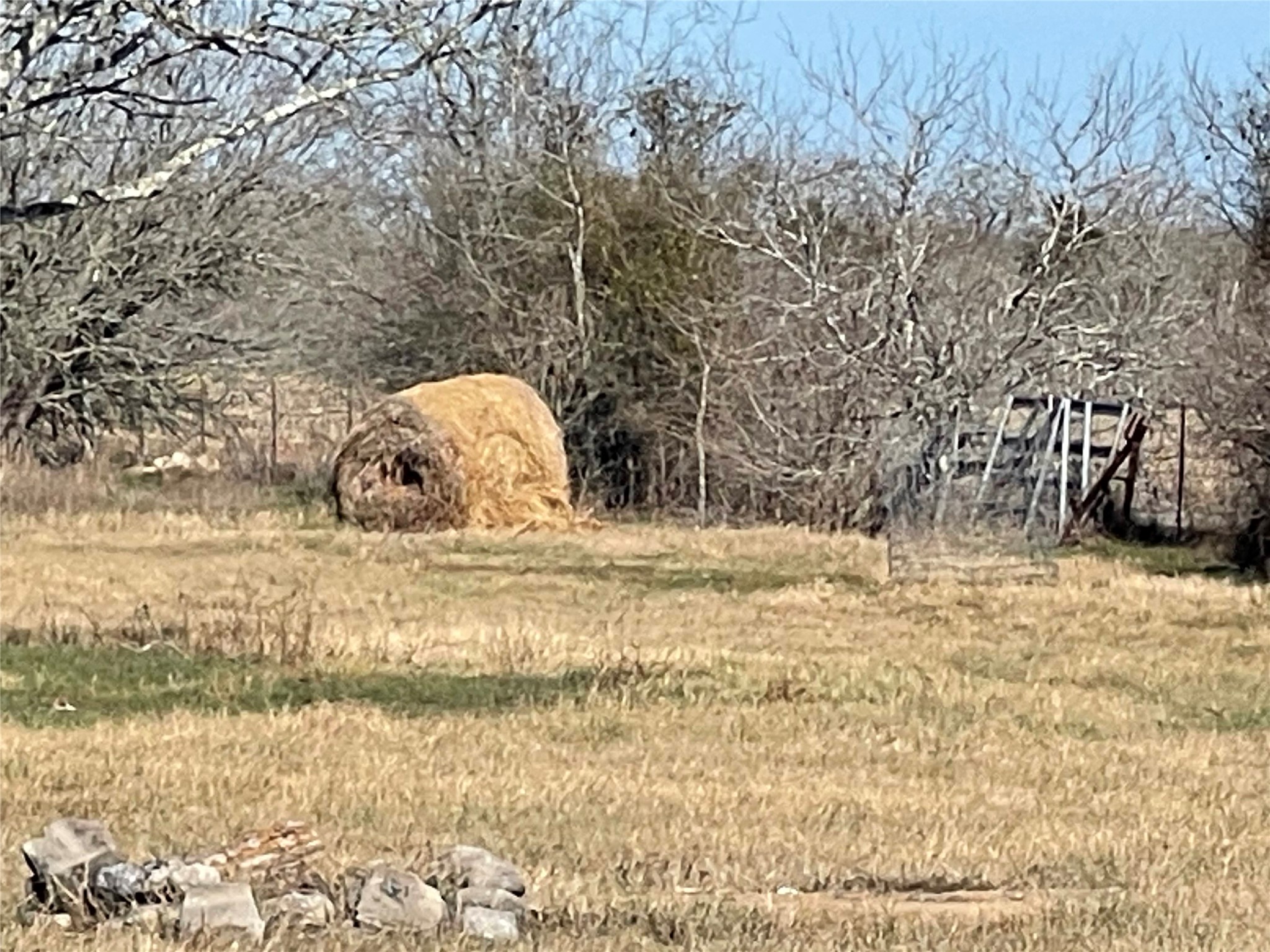 5279 Fm 2762 Flatonia, TX 78941 - Photo 6 of 8 a view of swimming pool with a yard