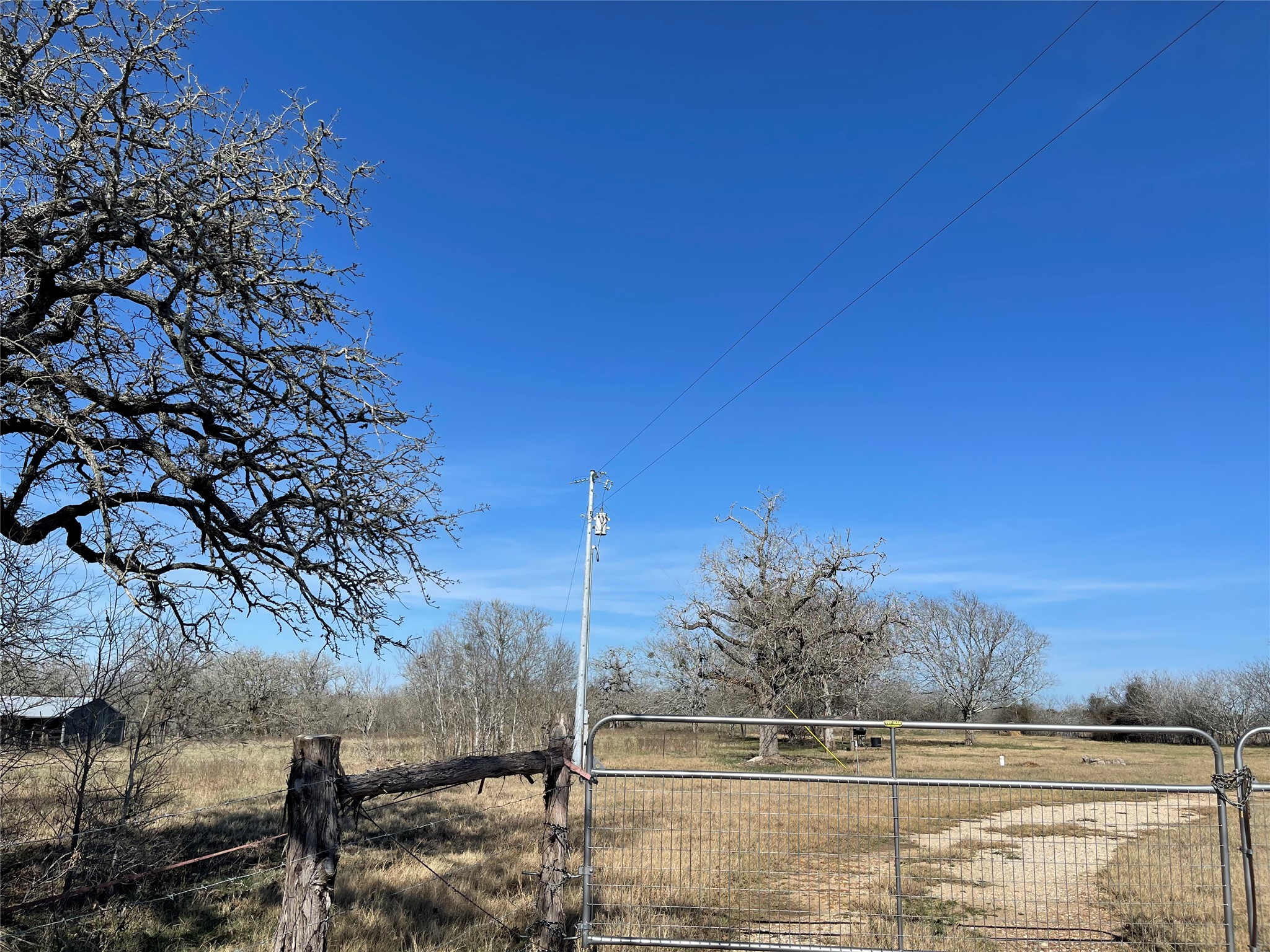 5279 Fm 2762 Flatonia, TX 78941 - Photo 7 of 8 a view of a yard with an trees