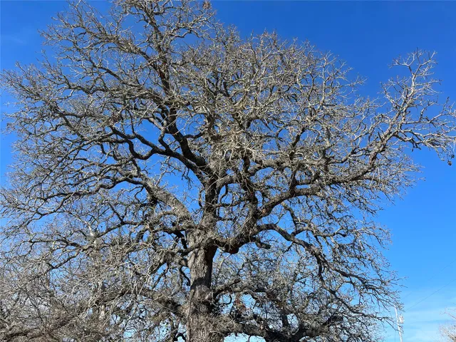 $180,000 | 5279 Fm 2762, Flatonia, TX 78941