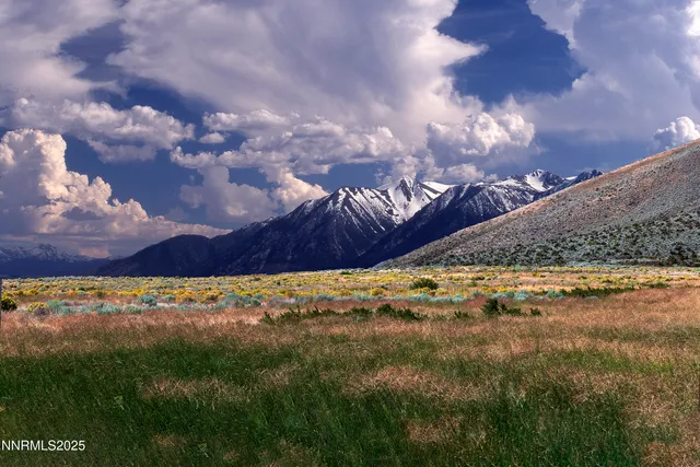 a view of a yard with an ocean