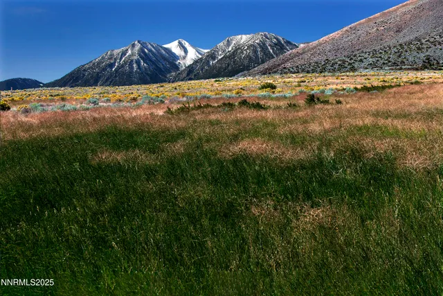 a view of a backyard of a house