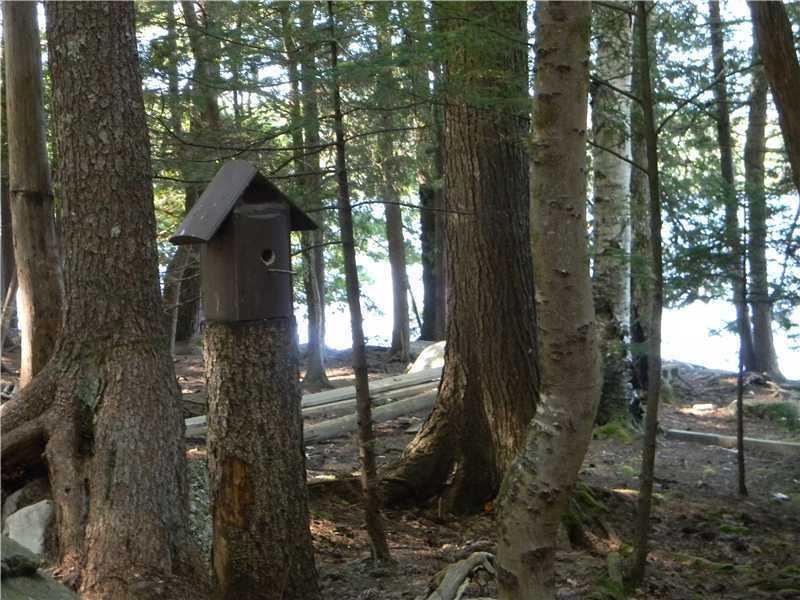 33 Spruce Point Road Ellsworth, ME 04605 - Photo 6 of 14 Land.