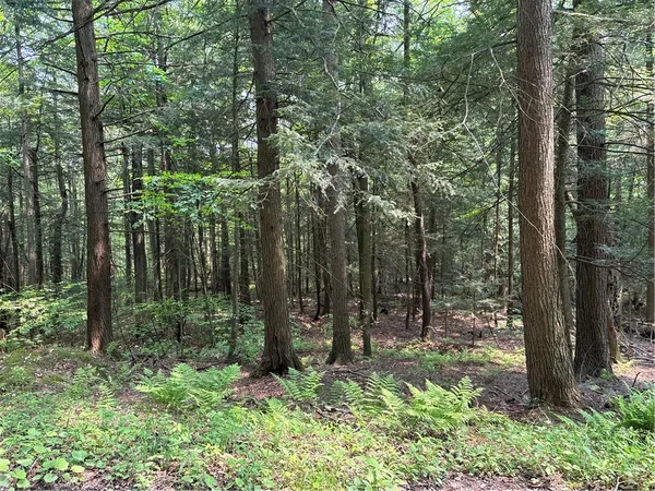 $38,000 | Spring Road South, Dansville, NY 14437