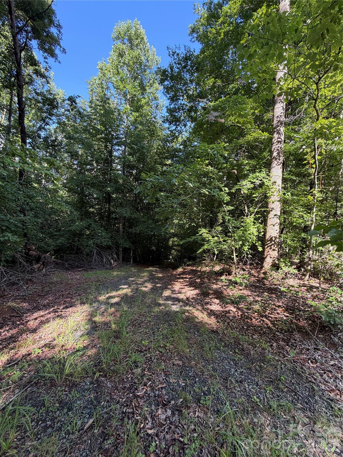 0 Greenhill Farms Drive, Unit 15 Rutherfordton, NC 28139 - Photo 2 of 10