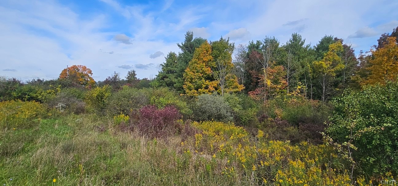 Learn Road Cameron Mills, NY 14820 - Photo 33 of 40 Gallery Image 33