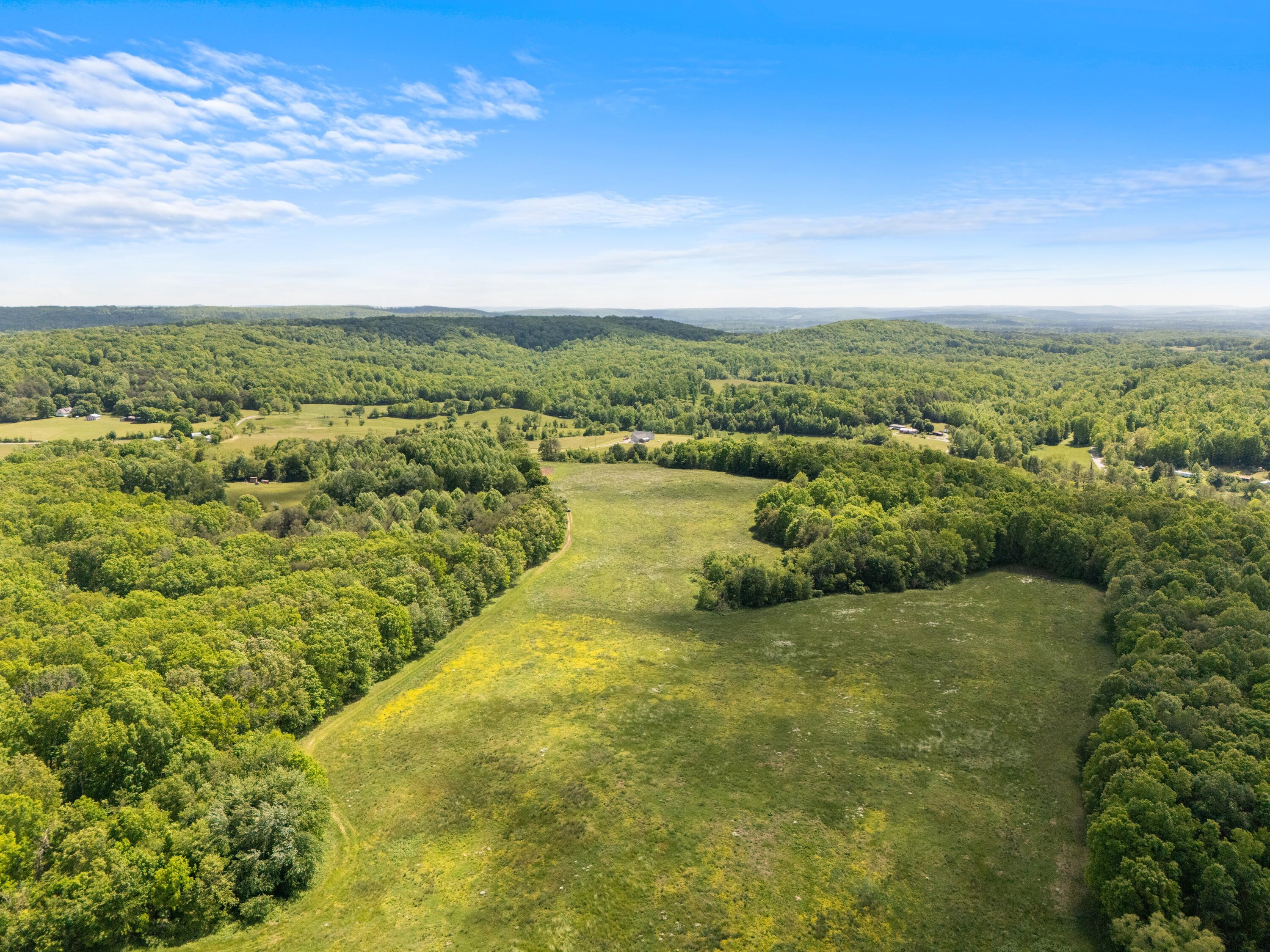 10681 Griffith Road Pikeville, TN 37367 - Photo 3 of 8 DJI_20260507142026_0396_D
