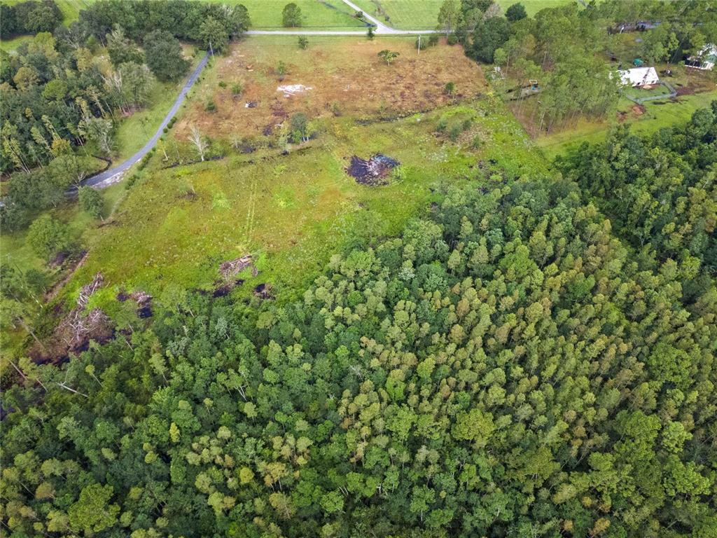 0 Windwillow Lane Clermont, FL 34714 - Photo 13 of 22 a view of yard