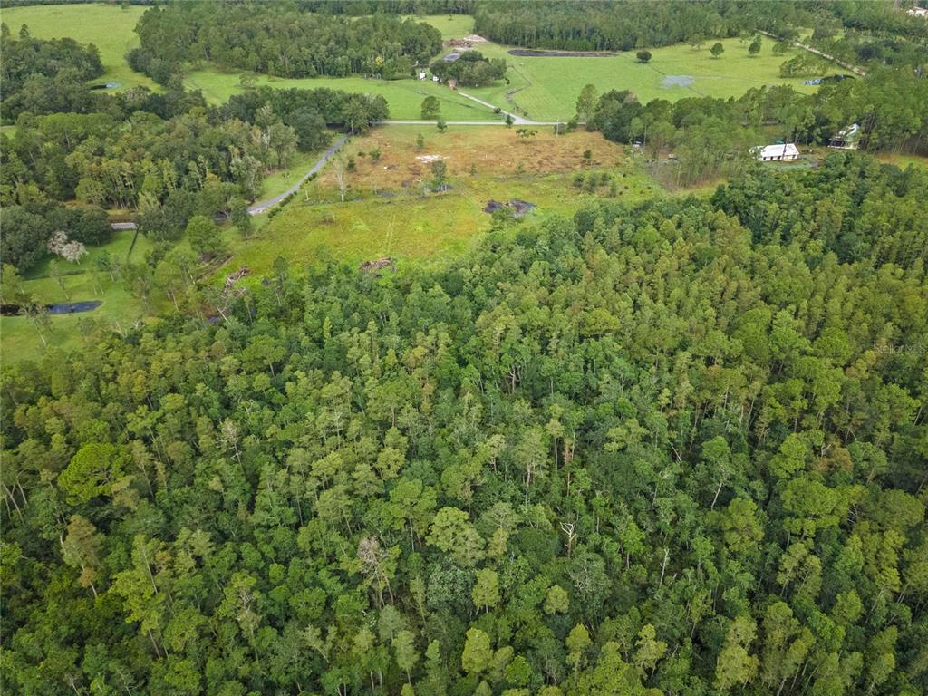 0 Windwillow Lane Clermont, FL 34714 - Photo 15 of 22 a view of a field of grass and trees