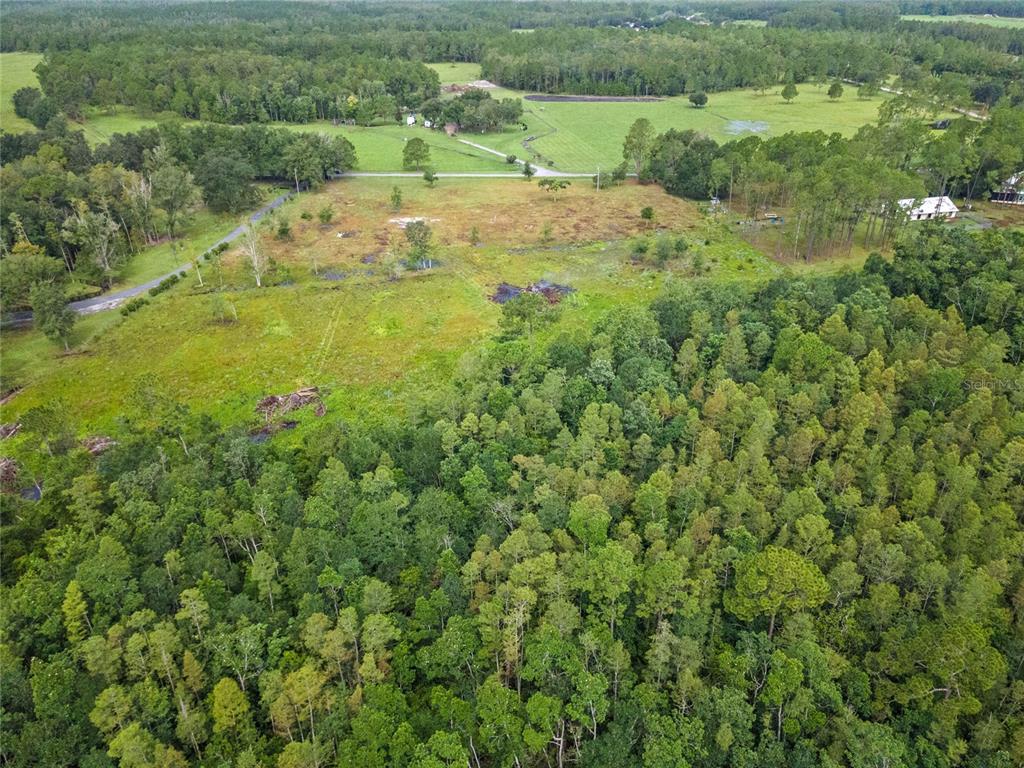 0 Windwillow Lane Clermont, FL 34714 - Photo 20 of 22 a view of a big yard with lots of green space and deers