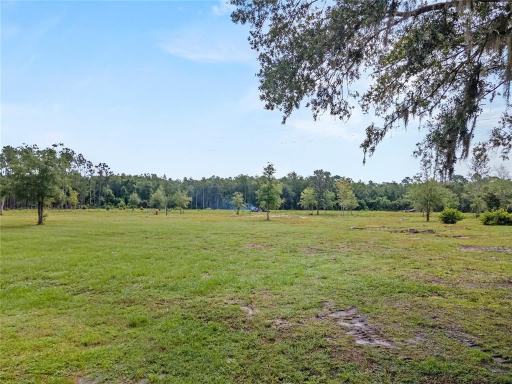 0 Windwillow Lane Clermont, FL 34714 - Photo 2 of 22 a view of outdoor space and yard