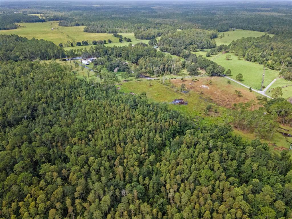 0 Windwillow Lane Clermont, FL 34714 - Photo 6 of 22 a view of a field with trees in the background