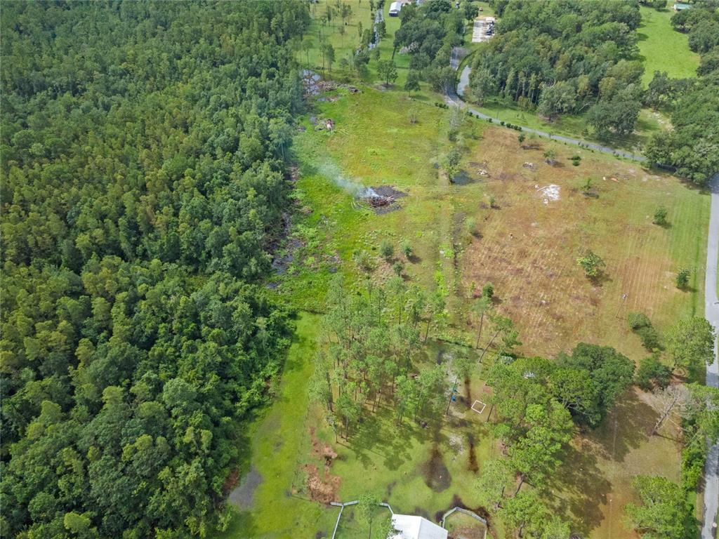 0 Windwillow Lane Clermont, FL 34714 - Photo 7 of 22 a view of a garden with plants