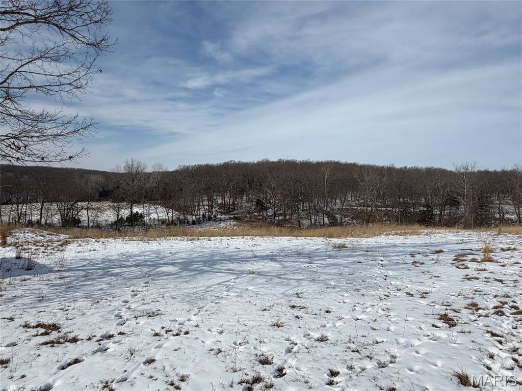 111 Kane Lane High Hill, MO 63350 - Photo 3 of 7