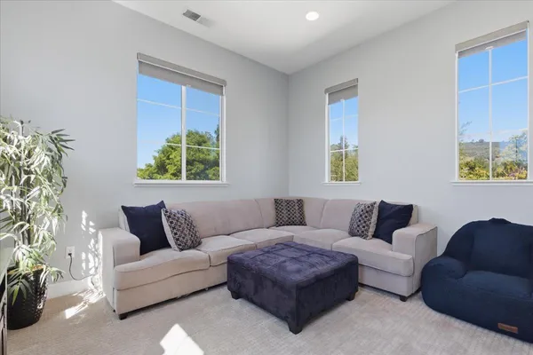 a living room with furniture and a potted plant