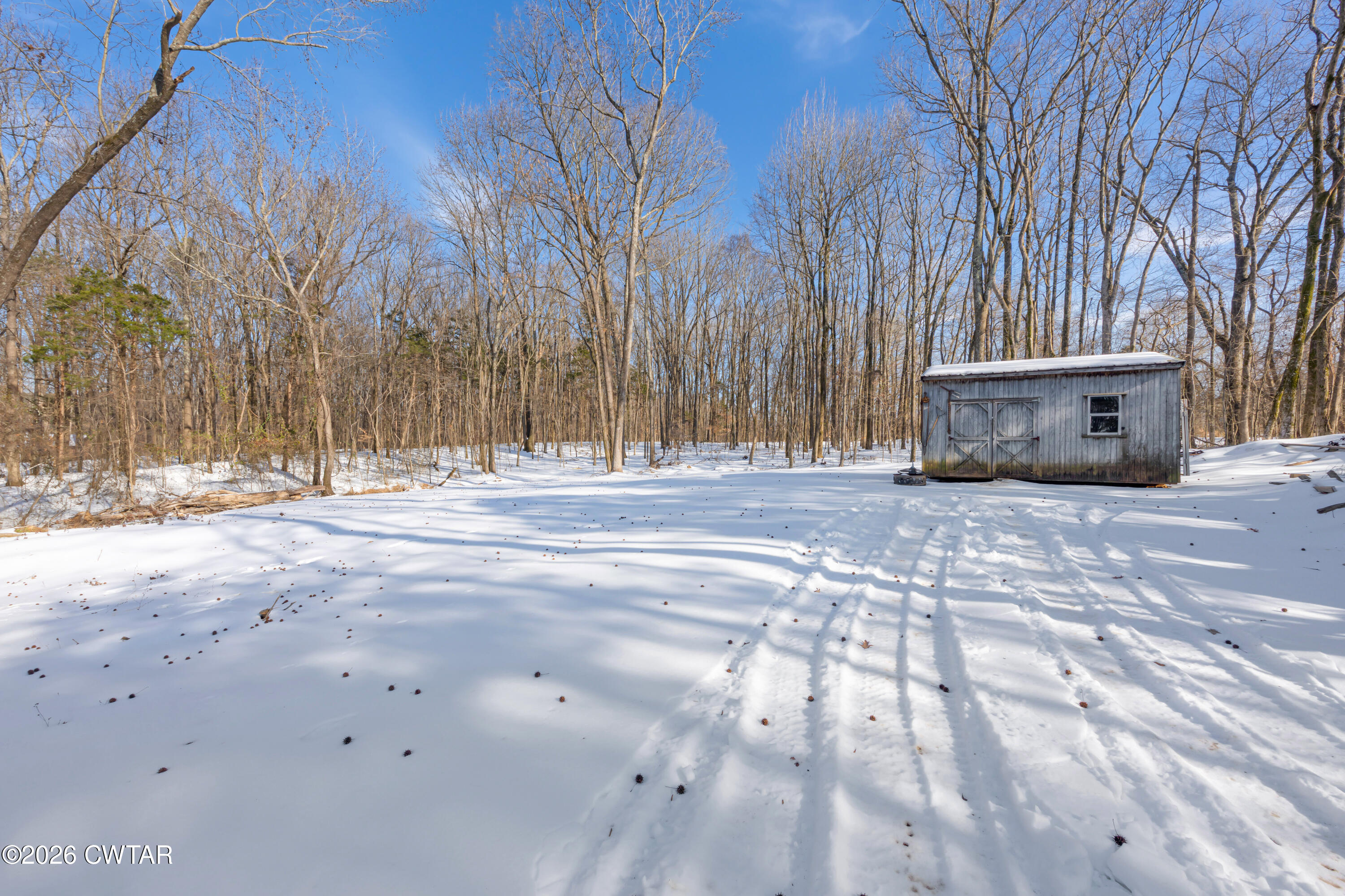 67 Robert Crocker Road Bradford, TN 38316 - Photo 20 of 20 a view of dirt yard with a large tree