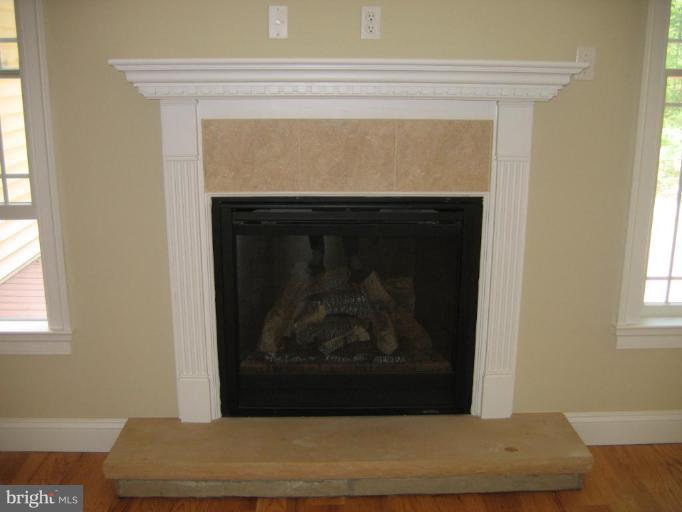 6508 Detrick Road Mount Airy, MD 21771 - Photo 23 of 30 Fireplace