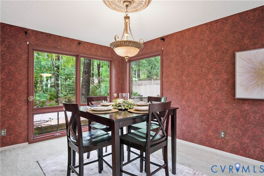 14202 Spring Gate Terrace Midlothian, VA 23112 - Photo 13 of 55 Gallery Image 13