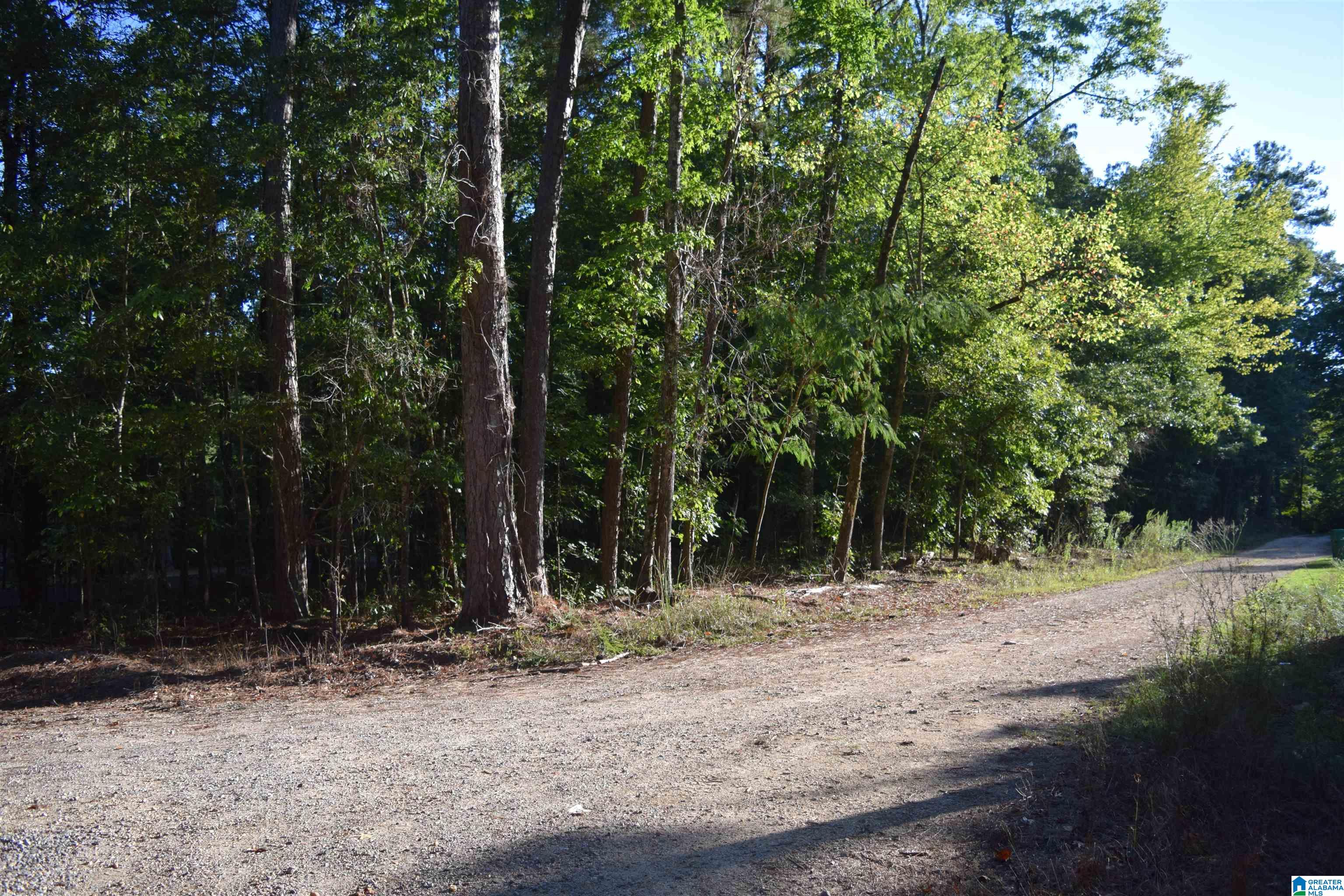 0 Charles Circle, Unit 75 McCalla, AL 35111 - Photo 3 of 6