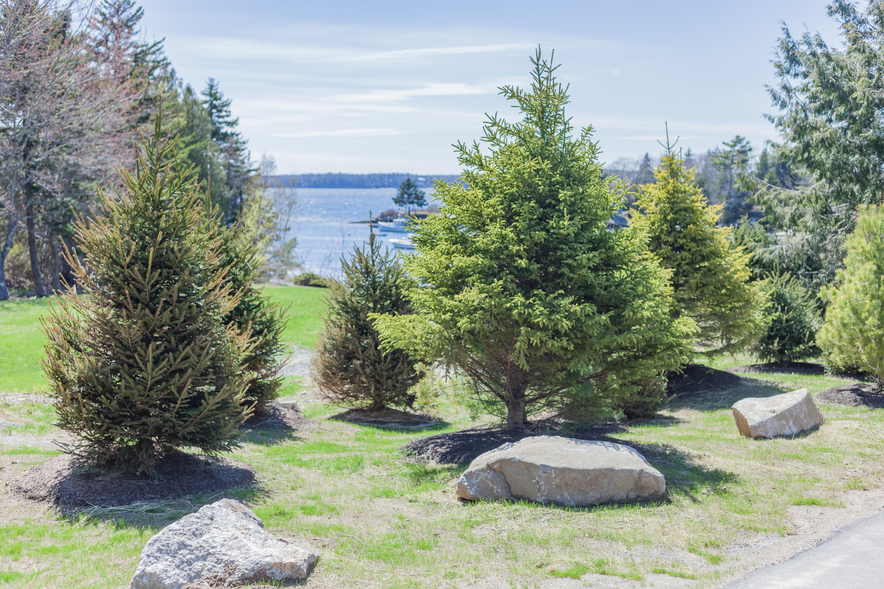 30 Cozy Harbor Road Southport, ME 04576 - Photo 6 of 12 6 CozyHarborLot-20