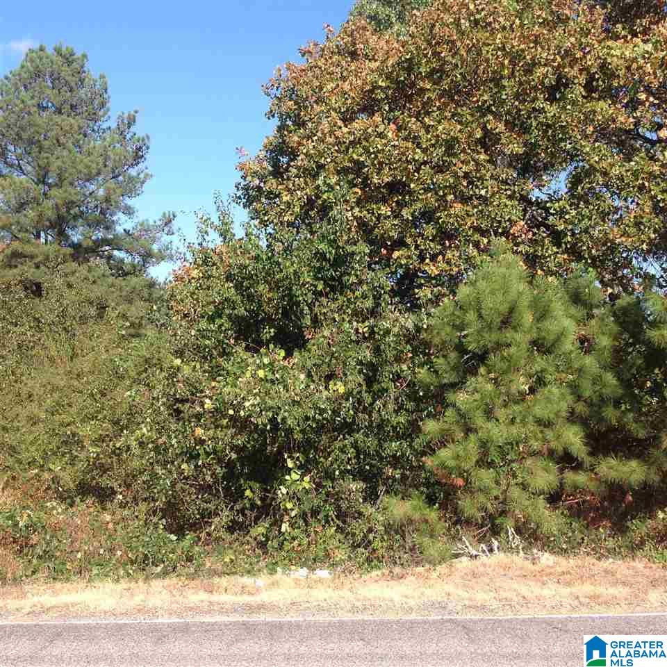 South Shades Crest Road Helena, AL 35022 - Photo 10 of 11
