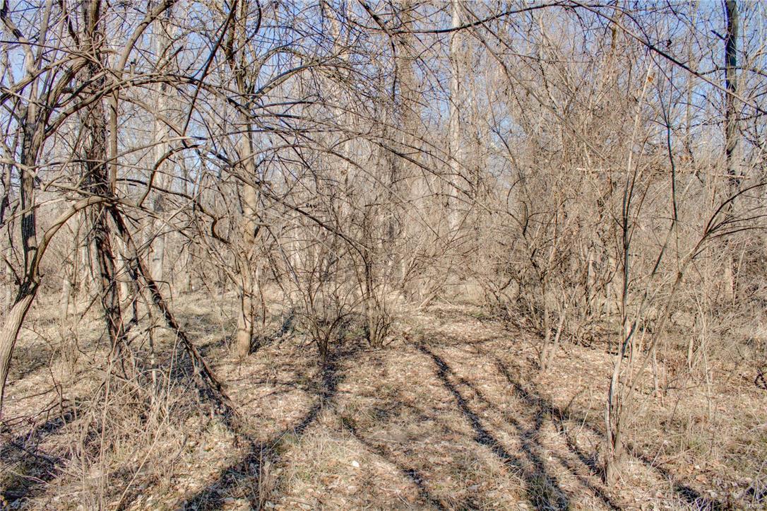 1 Stagecoach Road Jerseyville, IL 62052 - Photo 22 of 40 Gallery Image 22