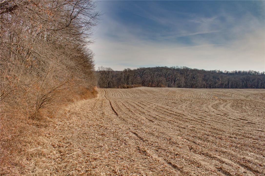 1 Stagecoach Road Jerseyville, IL 62052 - Photo 36 of 40 Gallery Image 36